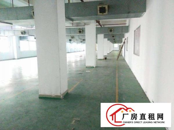  好房不等人，出租2楼1800平方，只要13块