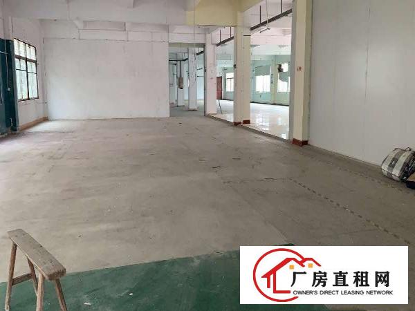  好房不等人，出租2楼1800平方，只要13块