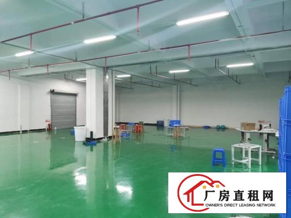  寮步镇上屯工业区科技园分租三楼1000方带办公室地平漆