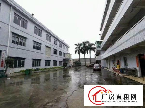  寮步凫山新出标准厂房一二楼各600平方