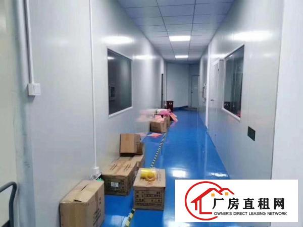  寮步滴水8米单一层原房东1800平米独门独院厂房招租可分租