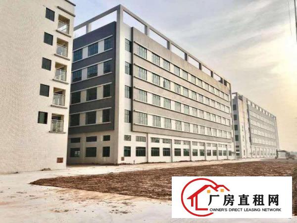  原房东独门独院厂房一楼7米高有牛角带消防喷淋水电齐全精装修