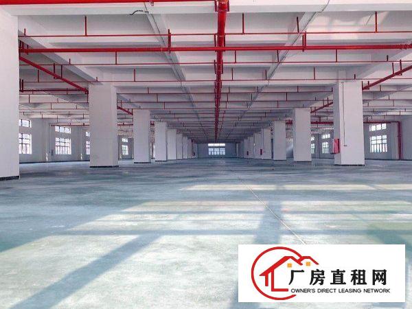  原房东独门独院厂房一楼7米高有牛角带消防喷淋水电齐全精装修