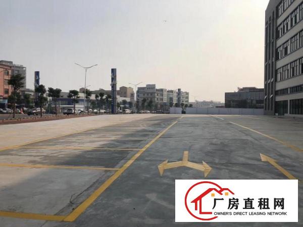  寮步镇新出带装修标准厂房