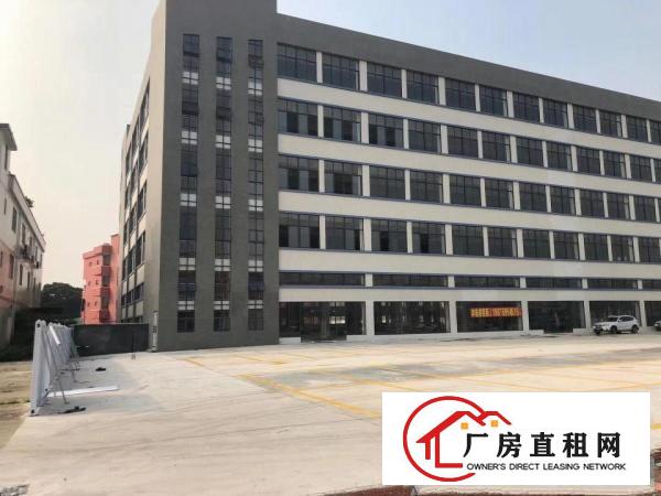  寮步镇新出带装修标准厂房