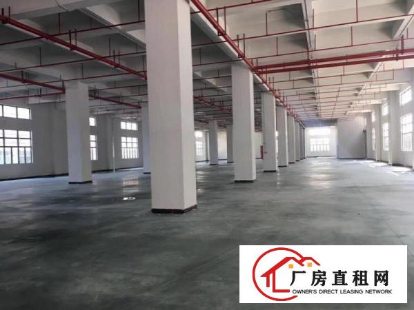  寮步镇塘边社区标准首层一楼1400平厂房出租信息带红本可环评