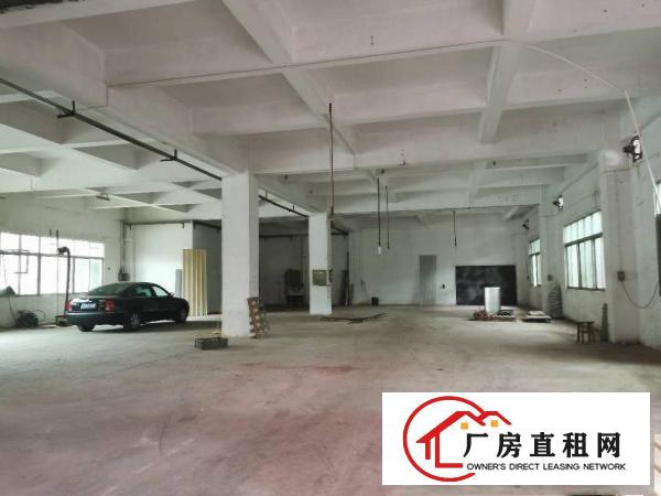  寮步向西新出标准厂房一楼300平和380平！急租！