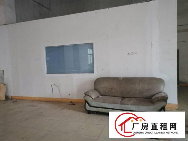 寮步向西新出标准厂房一楼300平和380平！急租！