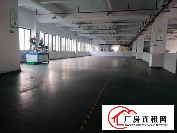  原房东高端厂房出租分租700起可办环评靠近东部快线实际图片