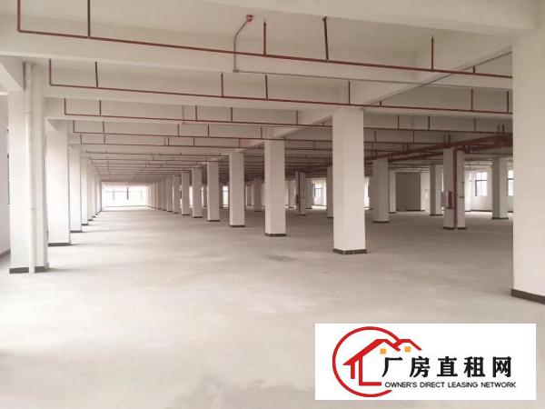  原房东高端厂房出租分租700起可办环评靠近东部快线实际图片