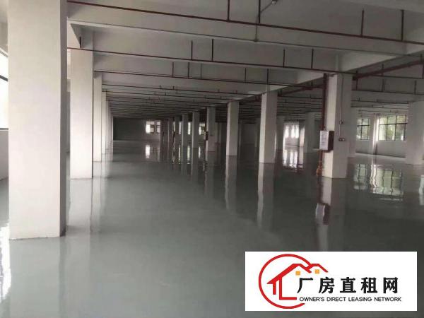  寮步镇上屯工业区标准2楼1000平厂房出租信息带吸塑硅胶环评