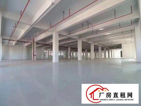  寮步镇上屯工业区标准2楼1000平厂房出租信息带吸塑硅胶环评