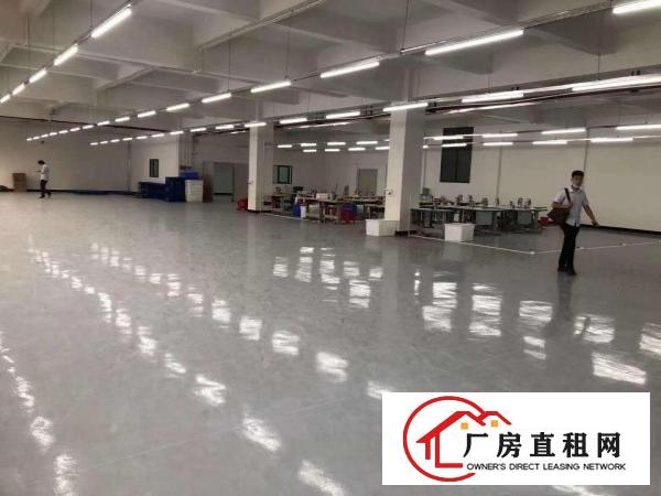  寮步华南城分租一楼460平，楼上1465平豪华装修全新地坪漆