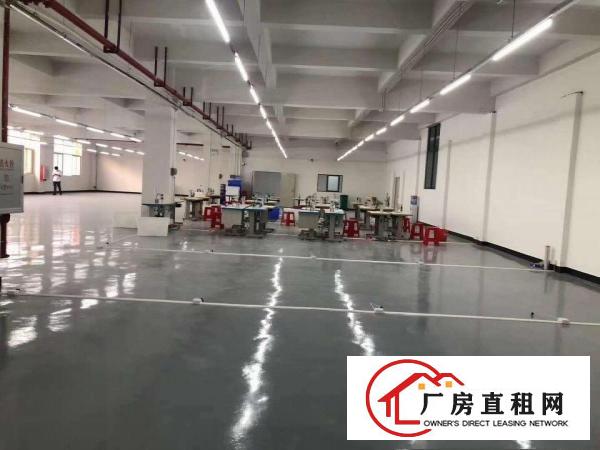  寮步华南城分租一楼460平，楼上1465平豪华装修全新地坪漆