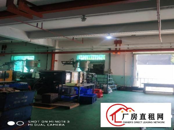  东莞寮步工业园区分租一整层1800平方现成装修水电齐全