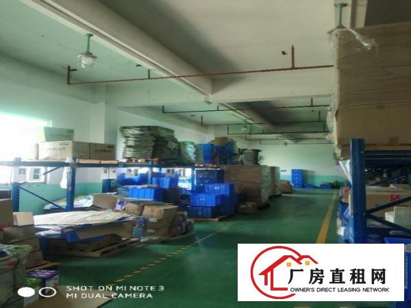  东莞寮步工业园区分租一整层1800平方现成装修水电齐全