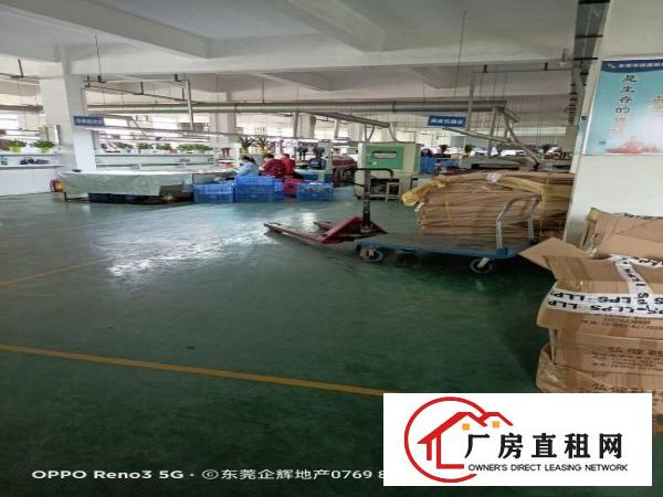  东莞寮步工业园区分租一整层1800平方现成装修水电齐全
