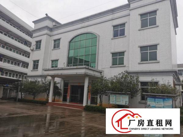  寮步镇花园式标准厂房出租大小可分租独立办公楼空地大