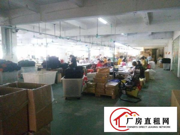  好消息新出经典小独院3层3300平方，无公摊面积