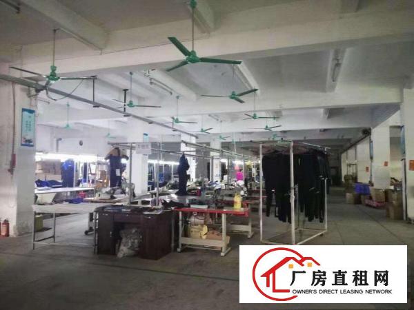  好消息新出经典小独院3层3300平方，无公摊面积