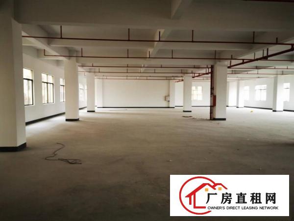  寮步镇独栋厂房出租单层面1500平方可分一半工业用地包环评