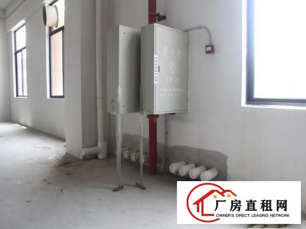  顺德区15万方厂房火热招租可做化学镀现成环保