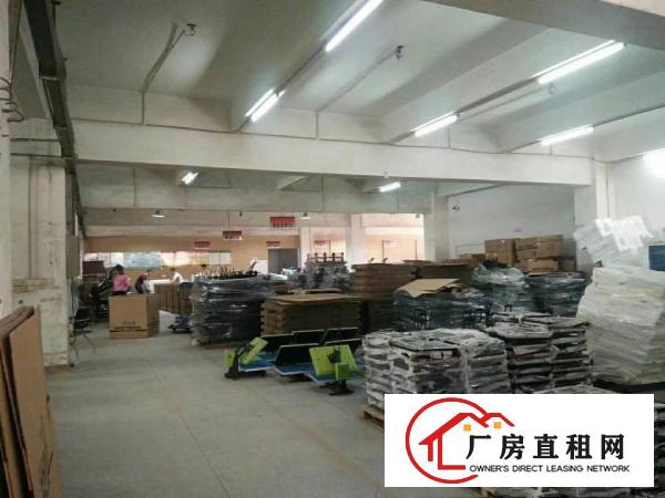  寮步凫山原房东厂房分租二楼1200平方现成办公室没公摊