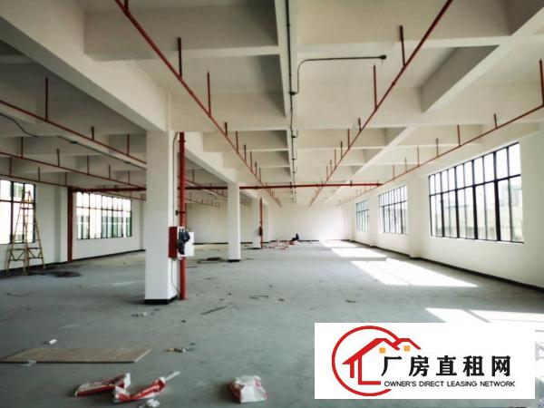  寮步镇原房东酸洗喷涂厂房出租带环评污水处理60吨天空地大