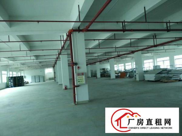  东莞寮步新出原房东独院标准厂房4500平方出租