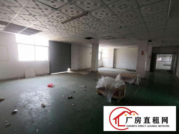  寮步向西原房东标准独院厂房分租一楼600平方.