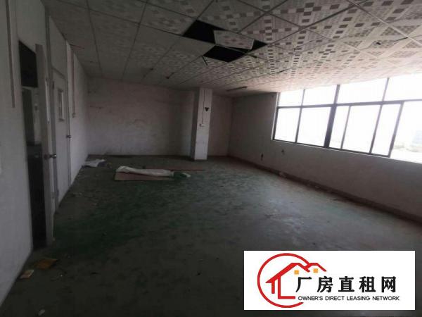  寮步向西原房东标准独院厂房分租一楼600平方.