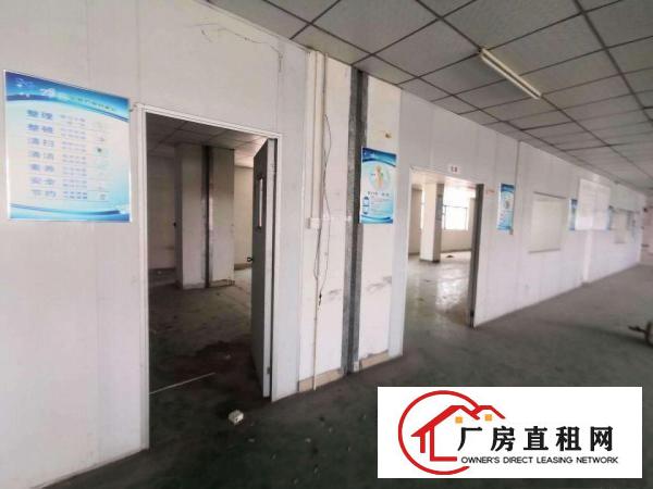  寮步向西原房东标准独院厂房分租一楼600平方.