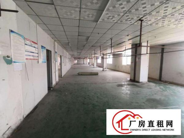  寮步向西原房东标准独院厂房分租一楼600平方.