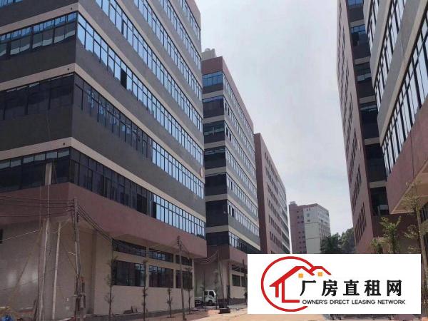  原房东高端厂房工业园区出租靠近东部快线好招工七百平方起带装修