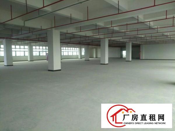  寮步华南城全新高新厂房出租3万到20万平方米可办环评