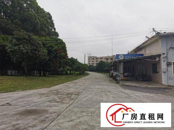  寮步钢结构单一层仓库厂房出租700平1500平隔好周边无居民