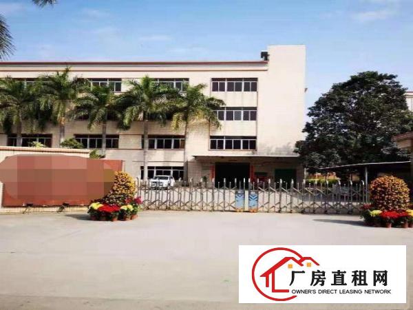  寮步镇！靓盘出租！原房东标准独院厂房5000平方