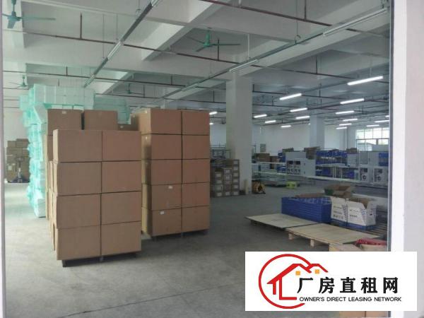  寮步镇！靓盘出租！原房东标准独院厂房5000平方