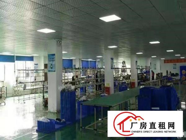  寮步岭厦即将空出二楼整层600平方，精装修，九成新