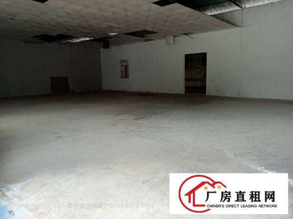  急租寮步成熟工业区新出独院厂房仓库3000平，租金低即10