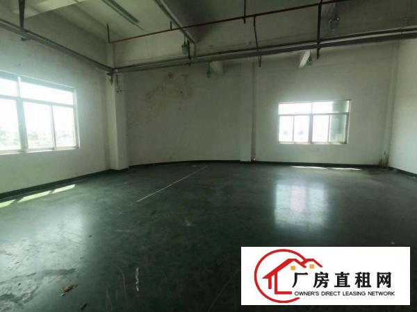 寮步良边带地坪漆标准独院厂房500平方出租消防到位.