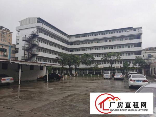  寮步镇原房东独院标准厂房出租空地大形象佳交通方便可办环评