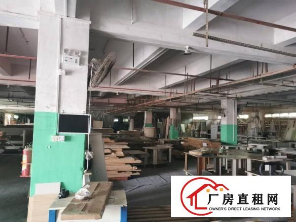  寮步镇原房东独院标准厂房出租空地大形象佳交通方便可办环评