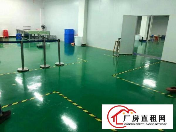  寮步海关旁全新地坪漆带现成办公室厂房1000平出租拎包入住
