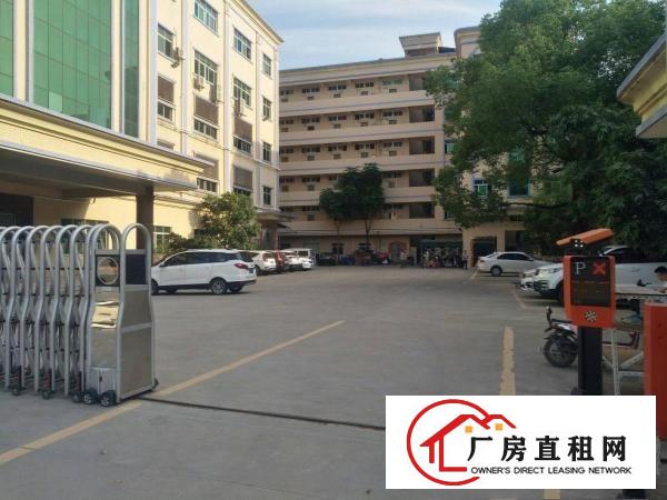  寮步海关旁全新地坪漆带现成办公室厂房1000平出租拎包入住