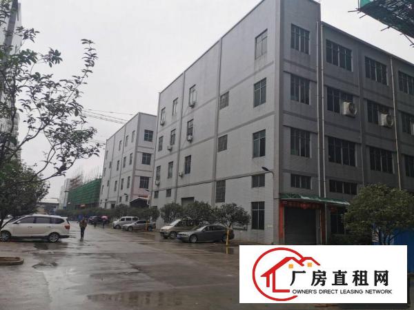  寮步镇全新工业园厂房出租大小可分租生活设施完善证件齐全办环评