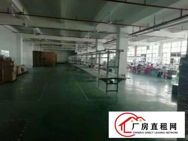  寮步药勒全新标准厂房共5000平方，10元急租