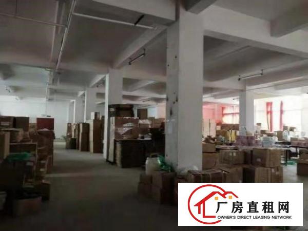  寮步药勒全新标准厂房共5000平方，10元急租