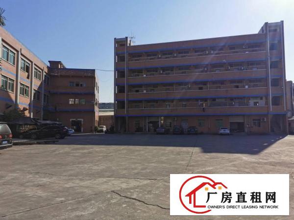  寮步镇村委独院标准厂房招租可分租工业用地空地大一楼6米高