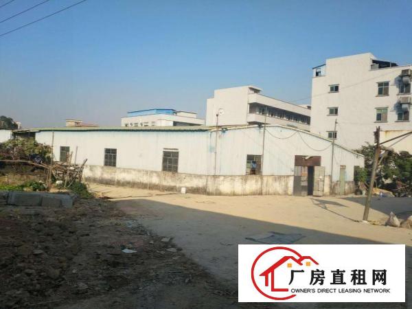  原房东分租1300平方的8米高的钢构出租